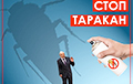 Жительница Пуховичского района: В нашем маленьком поселке все против Саши Таракана