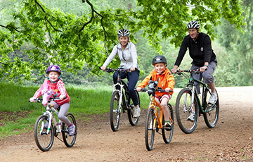 Мэрия Мадрида будет платить жителям за покупку электротранспорта
