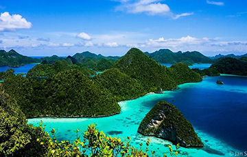 Ученые назвали остров с самой богатой флорой в мире