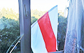 Фотофакт: Бело-красно-белые флаги на окнах