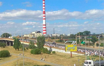 A Huge Human Chain of Solidarity in Baranavichy