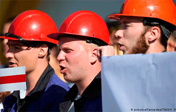 Белорусские рабочие нашли самый быстрый способ избавиться от Таракана