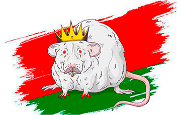 Белорусы превратили резиденцию Лукашенко в «норку крысиного короля»
