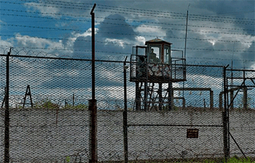 In The Colony "Wolf Holes," Prisoners Staged A Riot