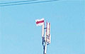 Поселок Сосны под Минском поднял национальный флаг