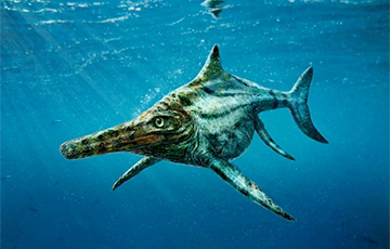 Ученые нашли загадочное подводное существо размером более 30 метров