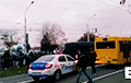 «Тихари» в панике убегают от людей на проспекте Рокоссовского