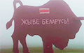 На 30-метровым помніку Зубру на трасе Менск-Берасце з'явіўся надпіс «Жыве Беларусь!»