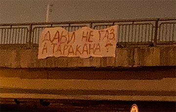 «Дави не газ, а таракана»