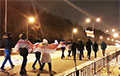 Вольные Боровляны вышли на протестный марш