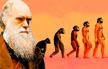 В теории эволюции Дарвина обнаружили ошибку