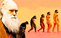 В теории эволюции Дарвина обнаружили ошибку
