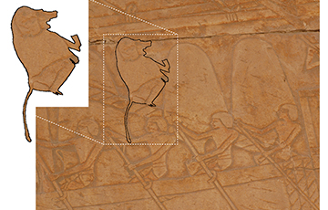 Ученые установили, где мог находиться древний Пунт