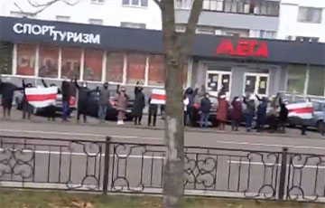 Жители Бреста встали в цепь солидарности
