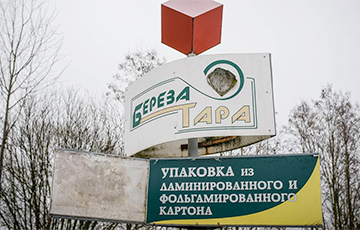 История «Березатары»: как власти выкинули десятки миллионов евро на ветер