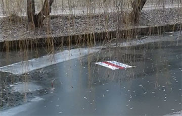 Партызаны Трактарнага пасёлка крэатыўна выказваюць пратэст