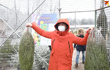 «Тут ель от 16 рублей, а возле дома просят от 22»