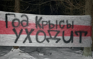 Партизаны Новой Боровой: Год Крысы уходит