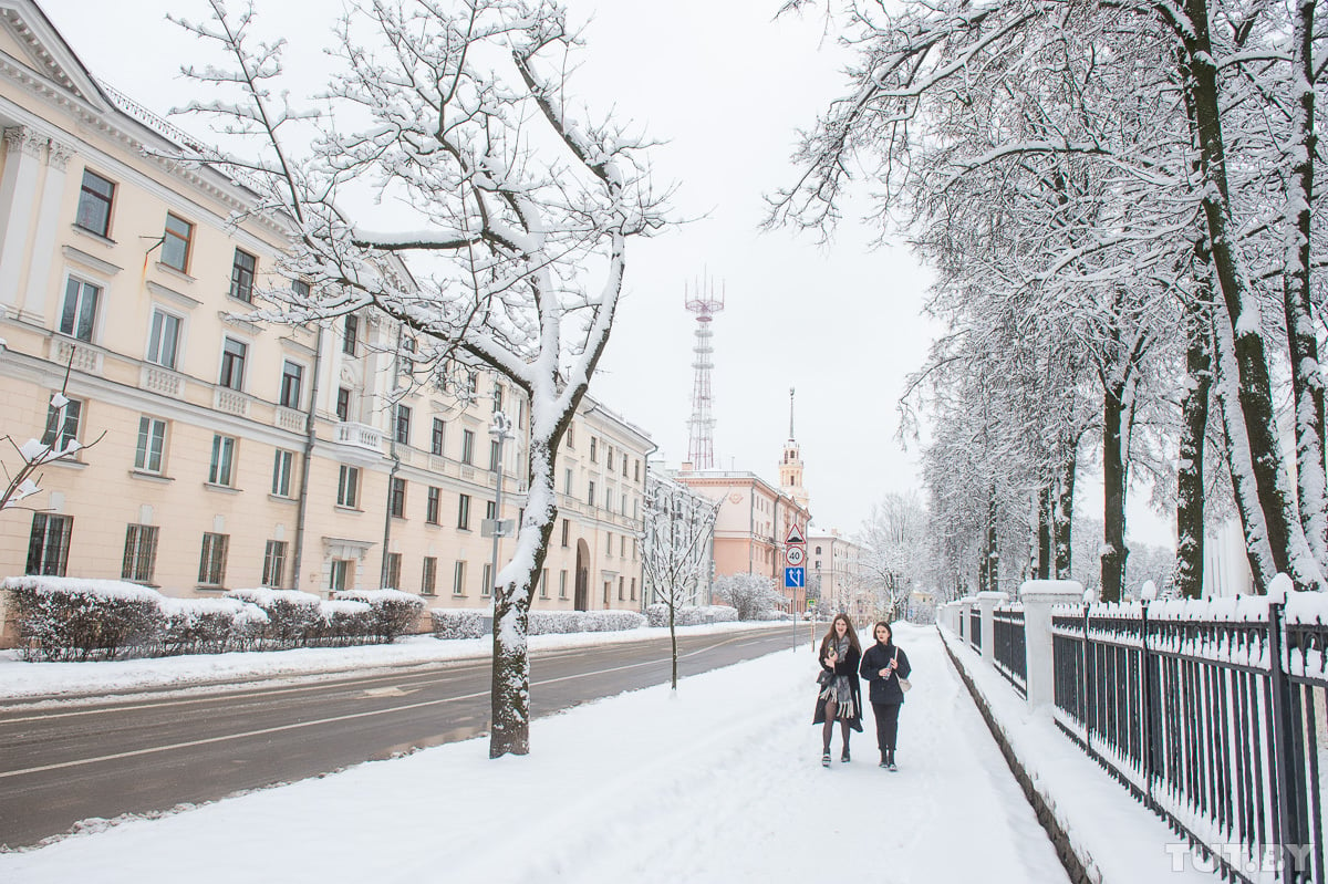 Снег в минске сегодня фото