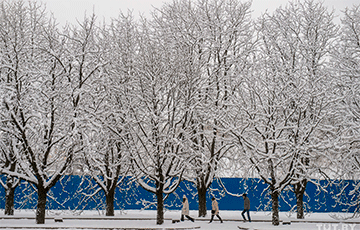 Белорусов ждут сильные снегопады