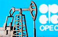Цены на нефть спикировали после заявлений генсека ОПЕК