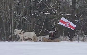 Под Полоцком заметили конную «тачанку» с бело-красно-белым флагом