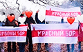 «Я выхожу»: Минчане провели марш в Красном Бору