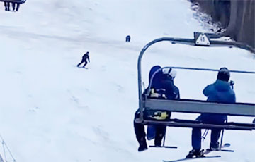 Відэа пагоні мядзведзя за лыжнікам у Румыніі набірае папулярнасць у сеціве