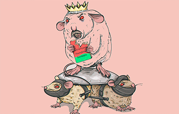 «Режимные крысы» и «Крысиное слово»: в Рогачеве местным пропагандистам оставили послание
