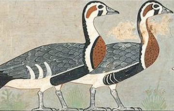 Ученые обнаружили на рисунке из древнеегипетского захоронения неизвестную ранее птицу