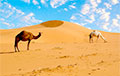 Ученые рассказали о самых необычных находках в Сахаре