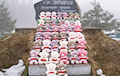 "Teddy Bear Landing Party" Landed At Highest Point In Belarus