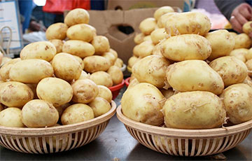 В Беларуси картошка подорожала на 188%