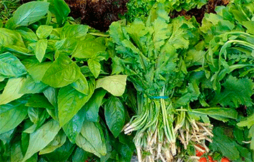 Медики назвали продукты, которые восстанавливают и улучшают работу кишечника