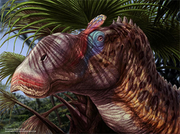 Ученые открыли новый вид утконосых динозавров