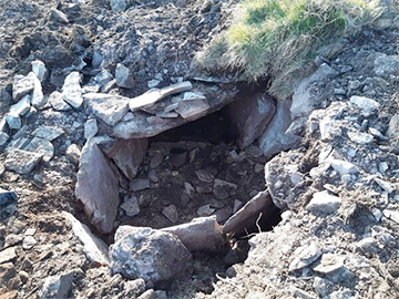 Ученых впечатлила древняя гробница, которую случайно обнаружил фермер