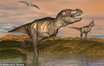 Ученые нашли место массового скопления динозавров и пришли к сенсационным выводам