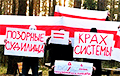 Партизаны Бреста и Боровлян вышли на акции протеста