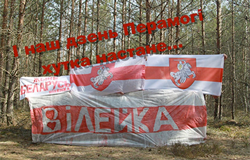 Партизаны проводят акции по всей Беларуси и цитируют Германа Лебедя