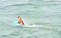 Мексиканская собака прокатилась на серфинге и стала звездой Сети
