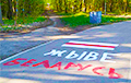 «Жыве Беларусь!» и национальный флаг: партизаны Минска украсили парк