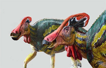 Ученые нашли новый вид динозавра с необычными ушами