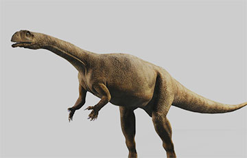 Ученые нашли динозавра, который рос как дерево