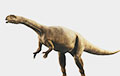 Ученые нашли динозавра, который рос как дерево
