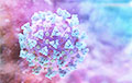 Швейцарские ученые: Найдена «ахиллесова пята» коронавируса