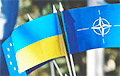 10 дзяржаў NATO падтрымалі ўступленне Украіны ў Альянс