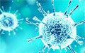Новый коронавирус вытесняет все предыдущие: заболеваемость растет во всем мире
