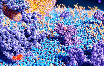 Сенсация в биологии: обнаружен новый тип биомолекул