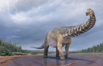 В Австралии открыли новый вид гигантского титанозавра