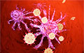 COVID-19 супраць раку: Калі імунітэт сам забівае пухліну